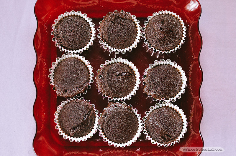 plain-chocolate-cupcake-1-cea