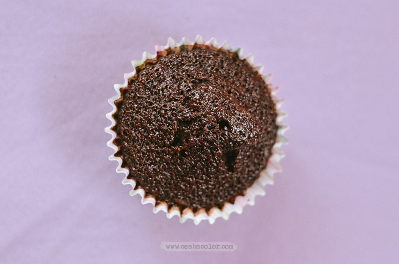 plain-chocolate-cupcake-2-cea