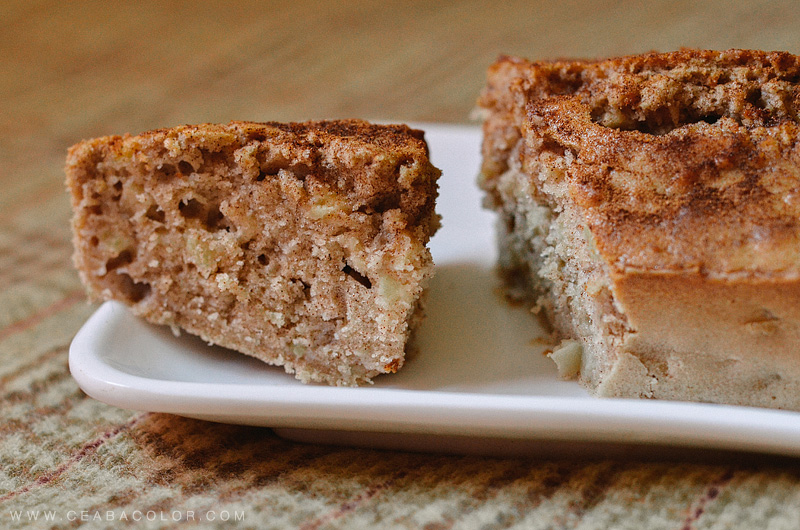 Cinnamon-Apple-Loaf-Muffins-by-ceabacolor-4