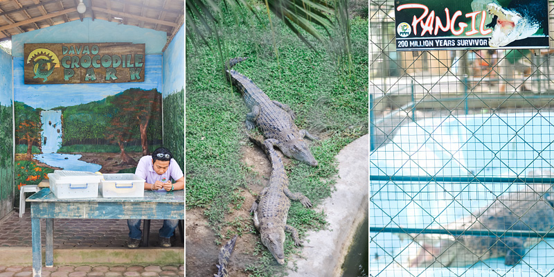 davao-crocodile-park-1-by-cea