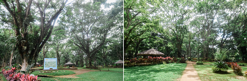 malagos-garden-park-davao-1-by-cea